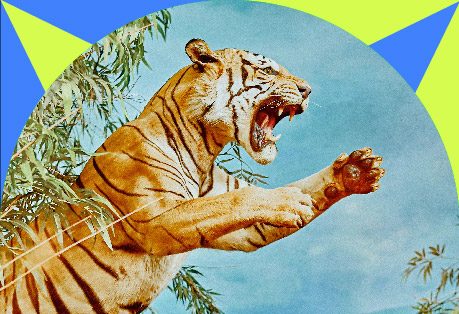 Agencia de marketing Bley